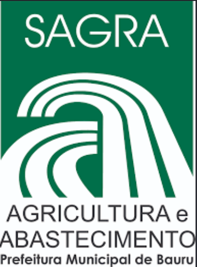 Relatório de Auditoria e Conformidade